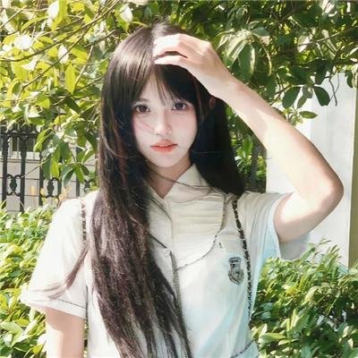 女王鲨